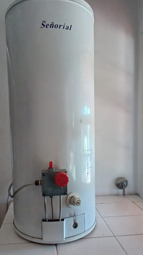 Termotanque Señorial 50 Litros Bigas Blanco (Usado)