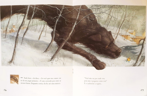 O Cachorro Preto - Levi Pinfold