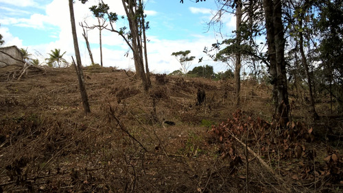 Fazenda 34 Hec. À Venda Em Taperoá-bahia