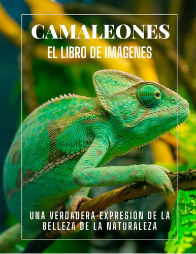 Libro: Camaleones: Una Colección De Fotografías De Hermosos 