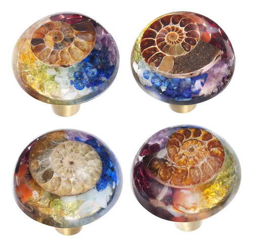 Sunyik 4pcs 7 Chakra Ammonite Fossil Pierras Cajas Con Canti