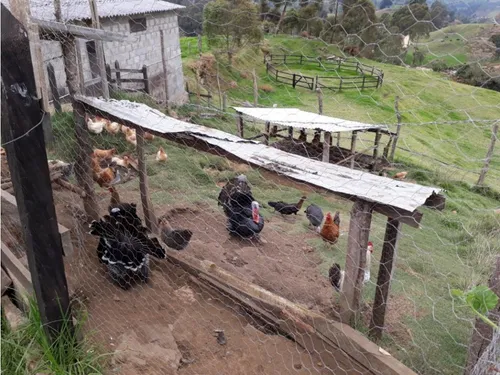Finca En Vender En Medellín