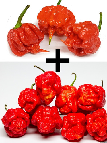 Sementes Trinidade Scorpion + Carolina Reaper 100 Unidades