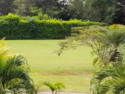 Alquilo Casa Campestre En Ginebra Valle Para Extranjeros