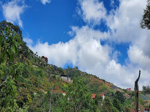 Terreno En La Colonia Tovar, Sector El Paují (cerca De La Casa Del Árbol) Tg