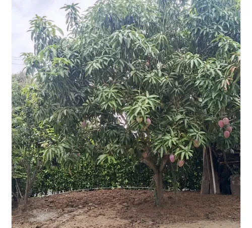 Vendo Lote En Tocaima Cundinamarca