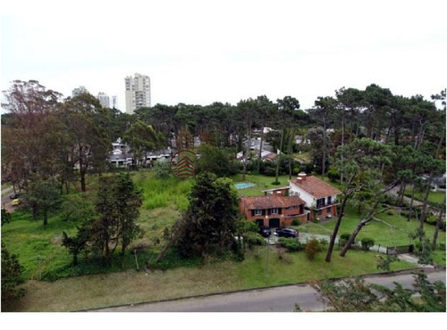 Imagen 14 de 30 de Lindisimo Edificio Ubicado A Pocas Cuadras Del Mar - Punta Del Este Roosevelt