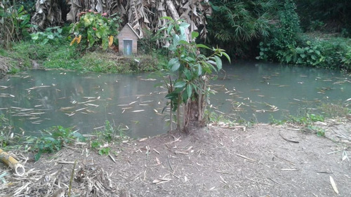 Imagem 3 de 17 de Chácara Com 3 Dormitórios À Venda, Jardim Majestic, Sao Jose Dos Campos - Sp - 3445