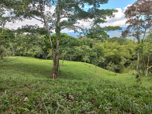Imagen 7 de 8 de Venta De Casa Lote Esquinero A 1 Km De Villeta