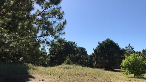 Lotes En Costayres 1000m2 . Costa Del Este