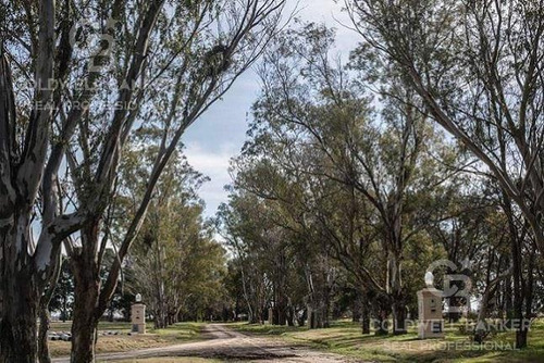 Lote En Lagos De San Eliseo - Canning