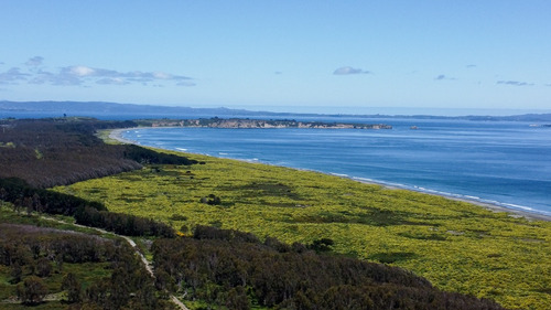 Lotes En Carelmapu Con Orilla De Playa, Mar Brava, Maullín