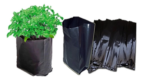 Bolsas Negras Cultivo Producción De Plantas 1 Kg 35 X 35 Cm