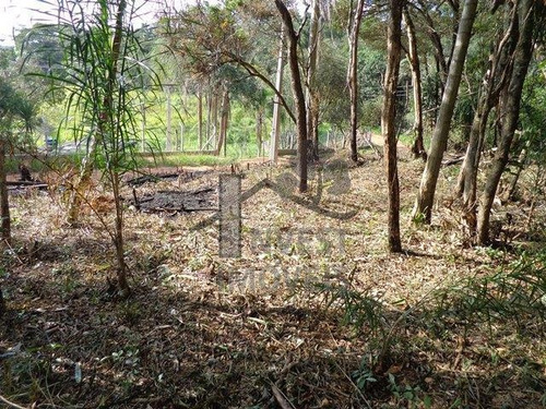 Imagem 6 de 7 de Cód 2050 - Terreno Pronto Para Construir. - 2050