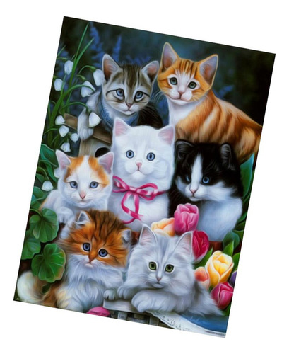 Pintura De Bricolaje, Regalos De Inauguración Gato