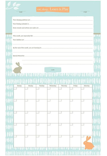 Imagen 2 de 5 de Calendario C. R. Gibson Elefante Del Bebé Azul Pegatinas Mil