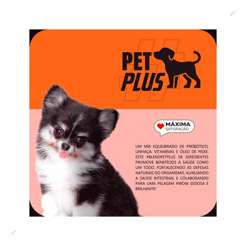 Ração Max Para Cães Filhotes Raças Pequenas Carne E Arro