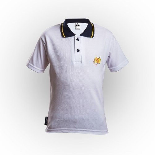 Polera M/c Colegio San Agustin Unisex Talla 14-16 / Forcecl