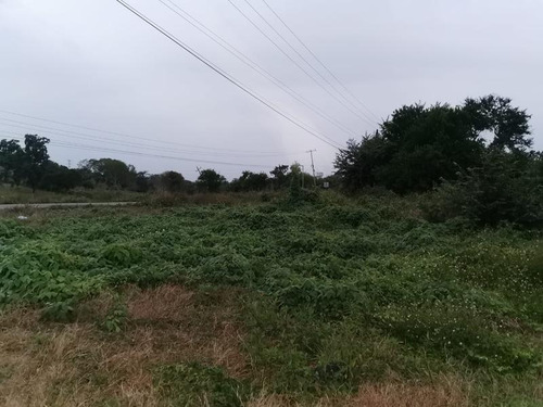 Terreno Venta 1358m² Carr Tuxpan Tamiahua En Tuxpan Veracruz