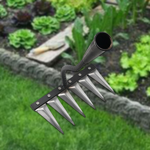 Herramienta De Jardinería De Jardinería Rake 6 Dientes