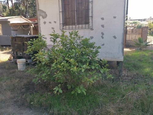 Terreno 1020 M2 En Chocota (entre Ventanas Y Horcón)