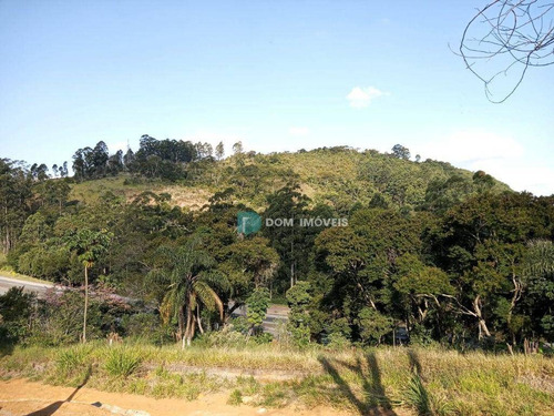 Imagem 8 de 10 de Terreno À Venda, 1000 M² Por R$ 250.000,00 - Nova Califórnia - Juiz De Fora/mg - Te0238