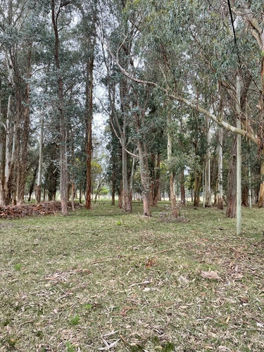 Imagen 9 de 15 de Quinta En Venta En Manantiales