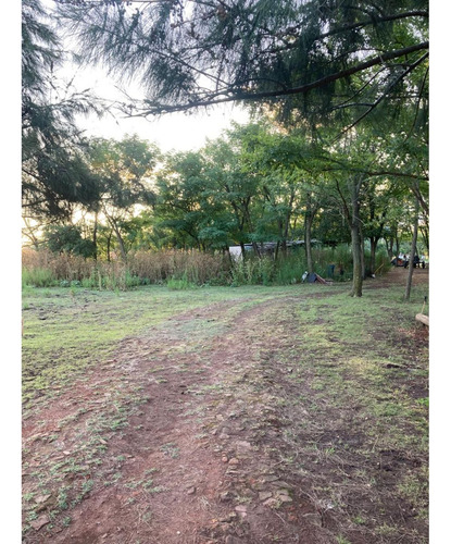 Excelente 5 Hectáreas En Esquina Con 2 Casas Y Galpones