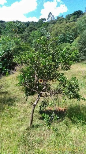 Chácara Com 2 Dormitórios À Venda, 5000 M² Por R$ 280.000,00 - Capelinha - Guarulhos/sp - Ch0024