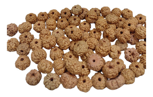 Japa Mala 108 Cuentas, Semilla Rudraksha