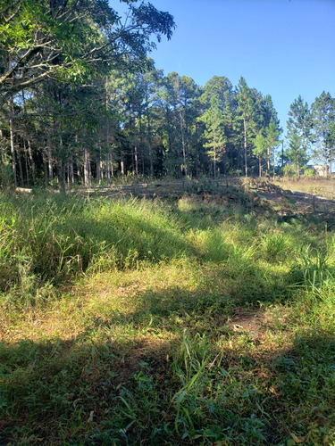 Vendo Terreno Rural Cidade Ibuna De 500m2 São  Paulo.