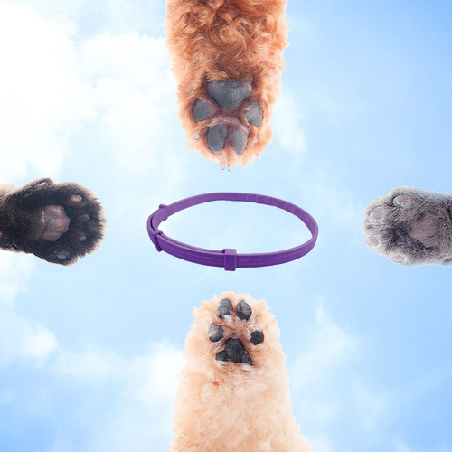 Collar Calmante Para Mascotas, Ajustable Para Perros Y Gatos