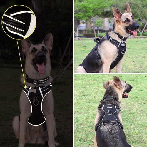 Winsee Arnés Para Perro/mascota No Pull Con Collar De Per...