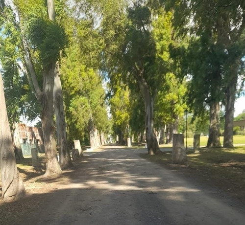 Imagen 1 de 3 de Lote En Venta En San Vicente- Campo Daromy