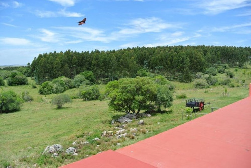 Quinta | Ruta 12 Y 5kms De Camino Vecinal