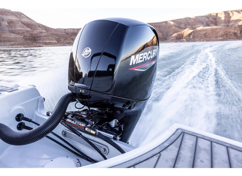 Motores Fuera Borda Mercury Lanchas Botes Gomones Nautica