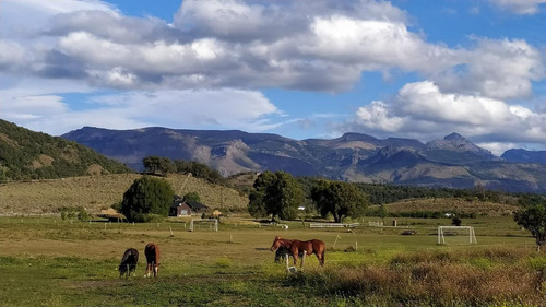Imagen 1 de 22 de Terreno - San Martin De Los Andes