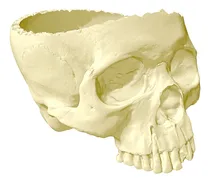 Comprar Tazón De Calavera Elaborado Por Impresión 3d - Halloween