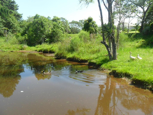 Imagem 3 de 9 de Terreno À Venda, 2500 M² Por R$ 365.000,00 - Bosques Do Sul - Gravataí/rs - Te0542