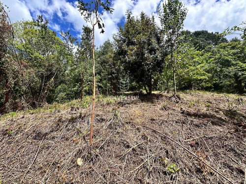 Terreno En Arique Ruta A Valdivia (133760)