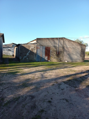 Imagen 4 de 13 de Se Vende Fracción De Campo Ruta 102 Y Melilla