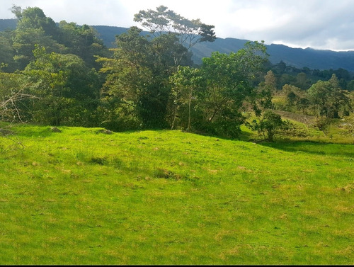 Imagen 12 de 13 de Vendo Finca Clima Templado Cerca De Bogotá, En Subia Cundinamarca 14700mts