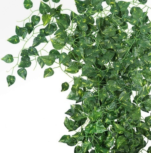Imagen 6 de 10 de Jardin Vertical Enredadera Artificial X 2,10 Ms #90211 X12