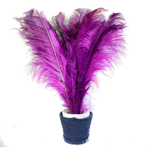 Penas De Avestruz Plumas Coloridas Decoração E Artesanato Cor Violeta