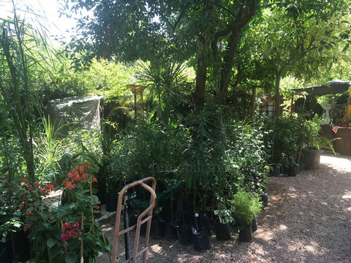 Imagen 11 de 30 de Casa + Vivero En Balneario Argentino