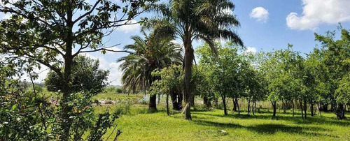 Imagen 5 de 9 de Terreno Venta 100x200 Mts - 20.000 Mts 2 Totales - Villa Montoro