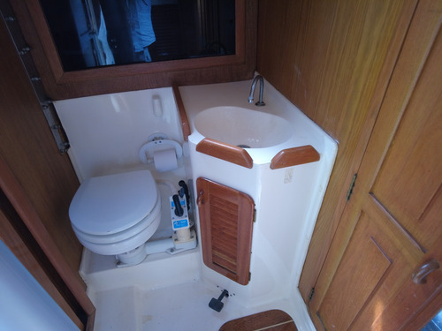 Velero Fayd 31
