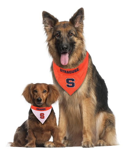 Pets First Collegiate Pet Accessories Collar Para Perro, Tex
