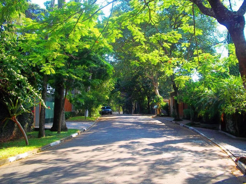 Imagem 23 de 24 de Sobrado Em Rua Tranquila E Arborizada! - Reo106009