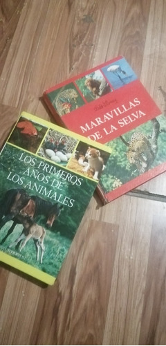  Los Primeros Años De Los Animales, Maravillas De La Selva